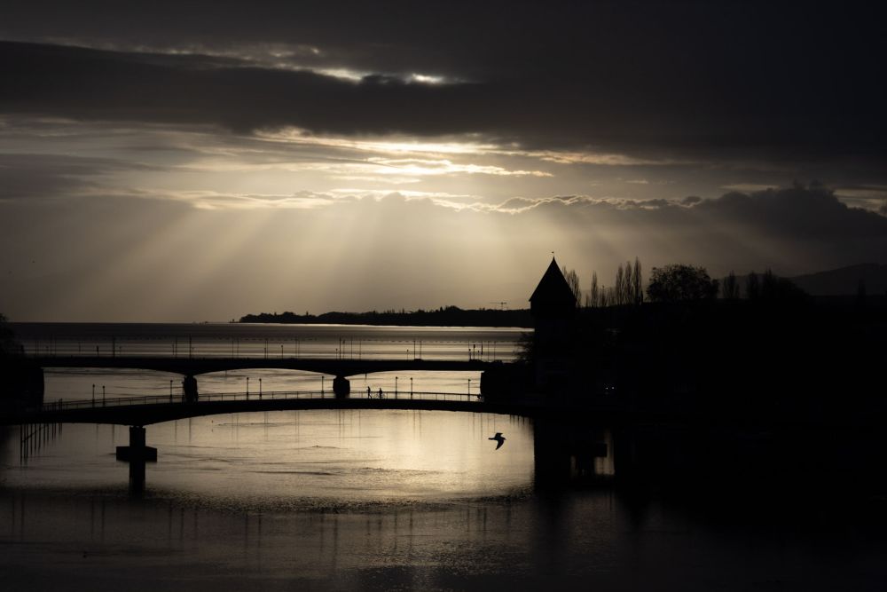Sonnenaufgang hinter dramatischen Wolken mit der alten Konstanzer Rheinbrücke und einem Vogel