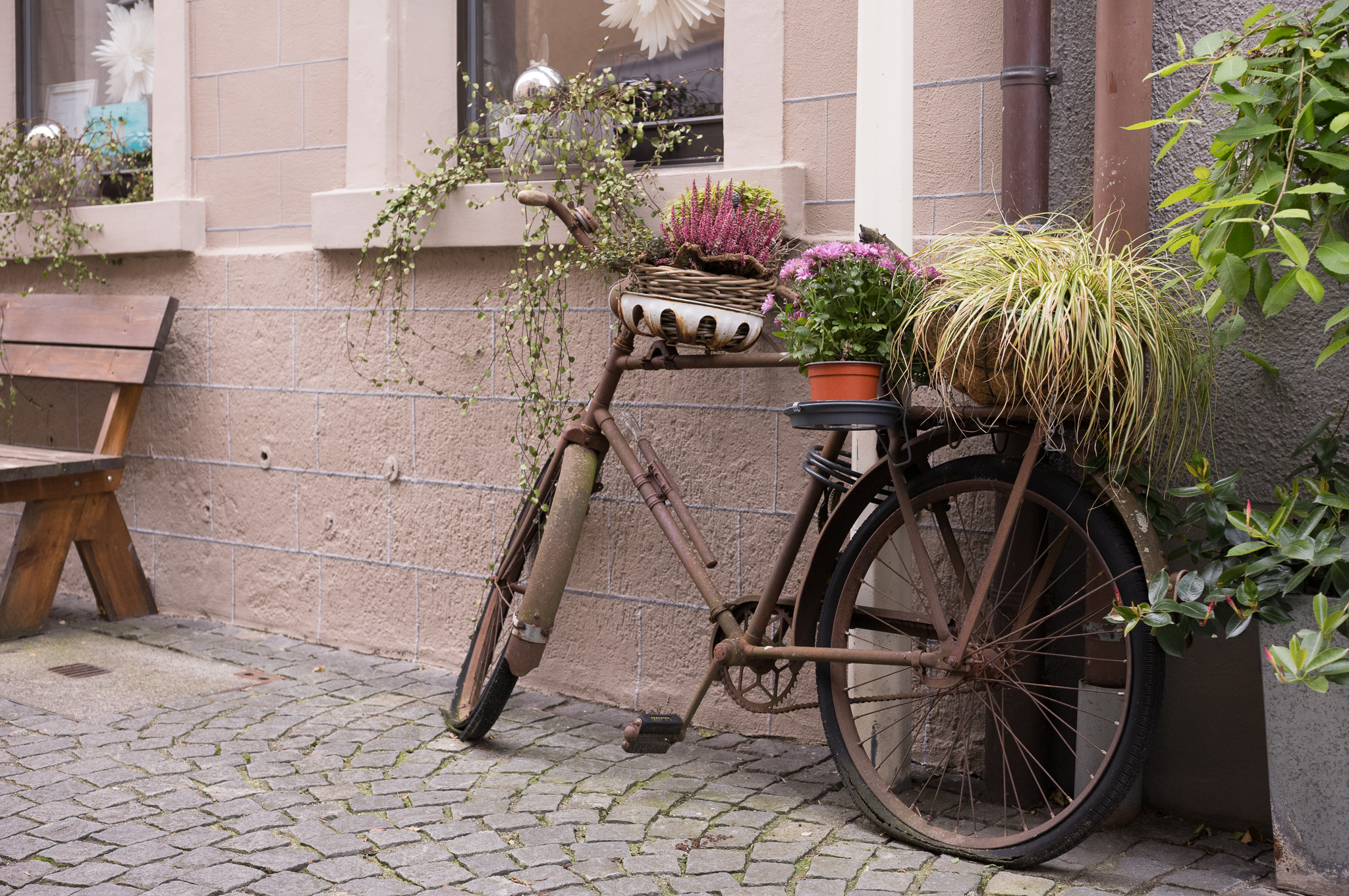 ein altes Fahrrad, mit Blumen bepflanzt