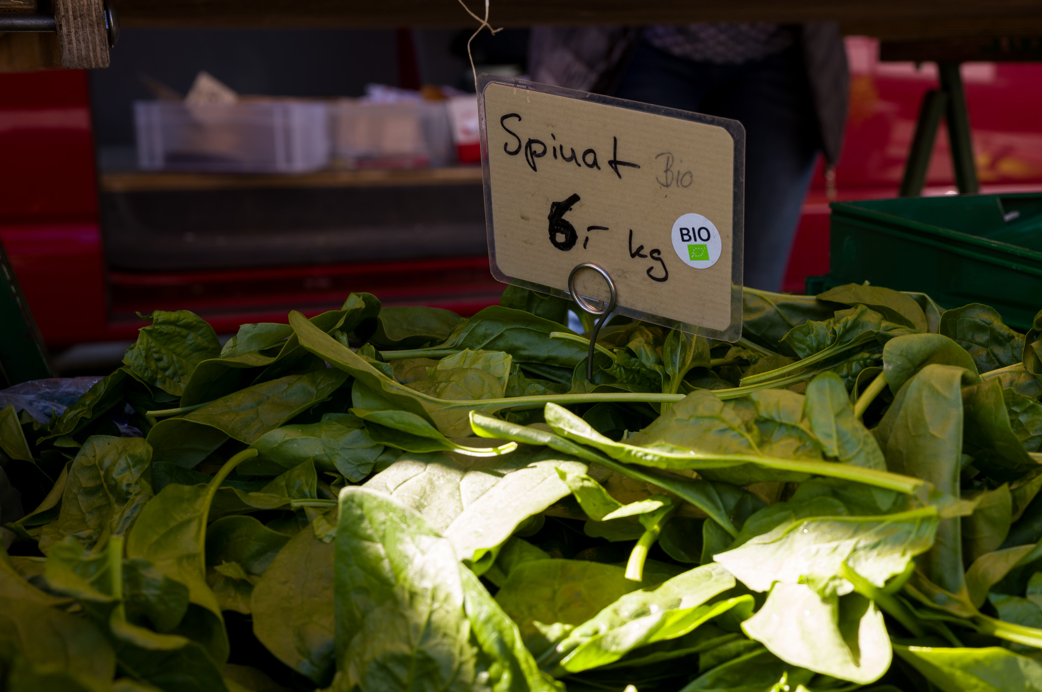 Spinatblätter