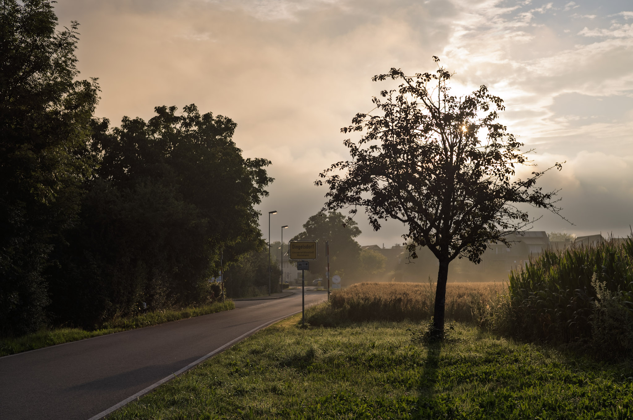 Sonnenschein nach dem Regen, der Dunst hebt sich langsam, alles dampft und die Sonne kommt durch