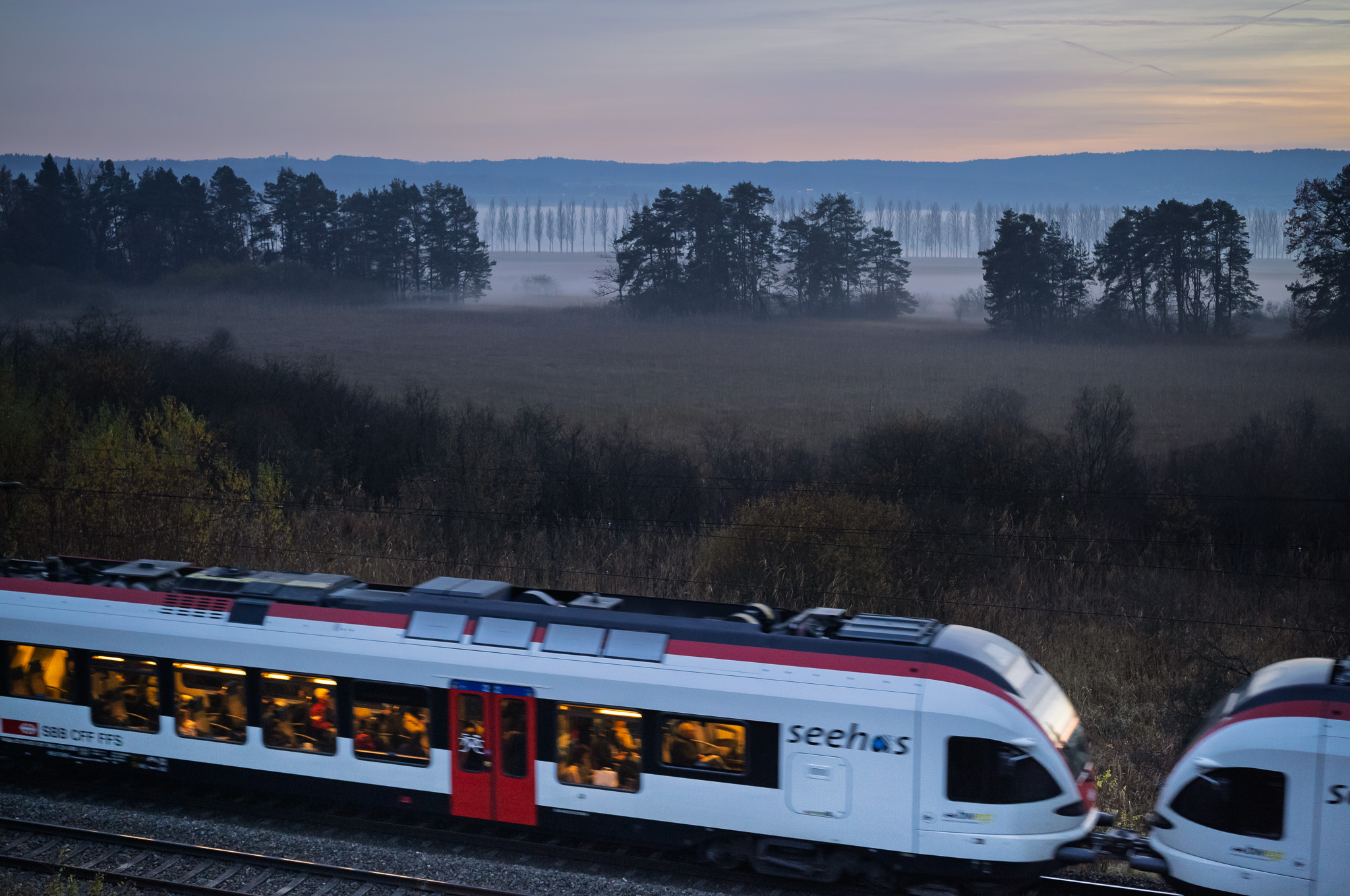 Dämmerung, im Vordergrund fährt ein Nahverkehrszug, der innen in warmem Licht strahlt, im Hintergrund die kalte Landschaft mit leichten Nebelschwaden im Wollmatinger Ried und dem Reichenaudamm