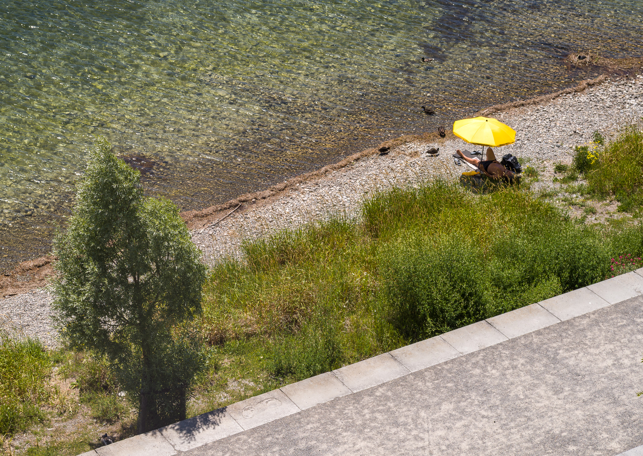 ein diagonal dreigeteiltes Bild, oben Wasser, unten Straße, in der Mitte Strand mit Pflanzen, Steinen und einem gelben Sonnenschirm, unter dem ein sich sonnenbadender Mann liegt